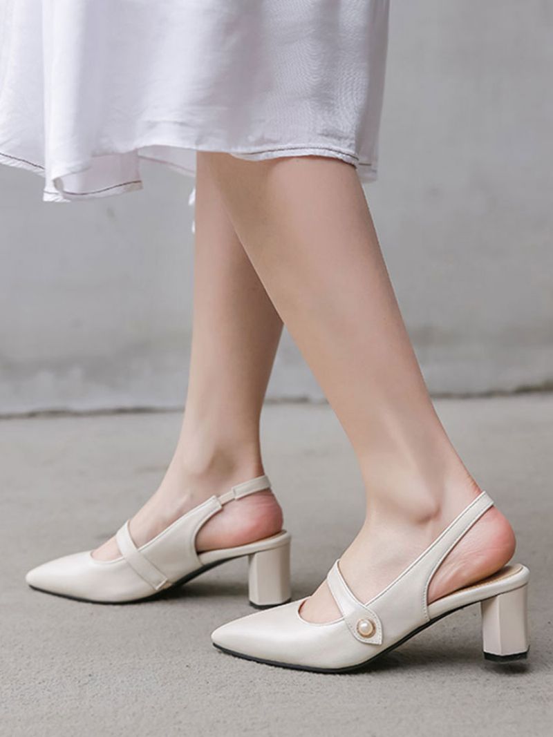 Damskie Buty Na Obcasie Ze Szpiczastym Noskiem Mary Jane Grubym CZółenka W Stylu Vintage - Beżowy