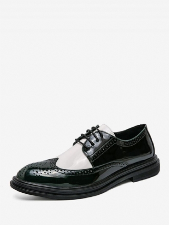 Eleganckie Buty Męskie Stylowe Z Okrągłym Noskiem Regulowane Sznurowane Typu Oxford Ze Skóry Pu